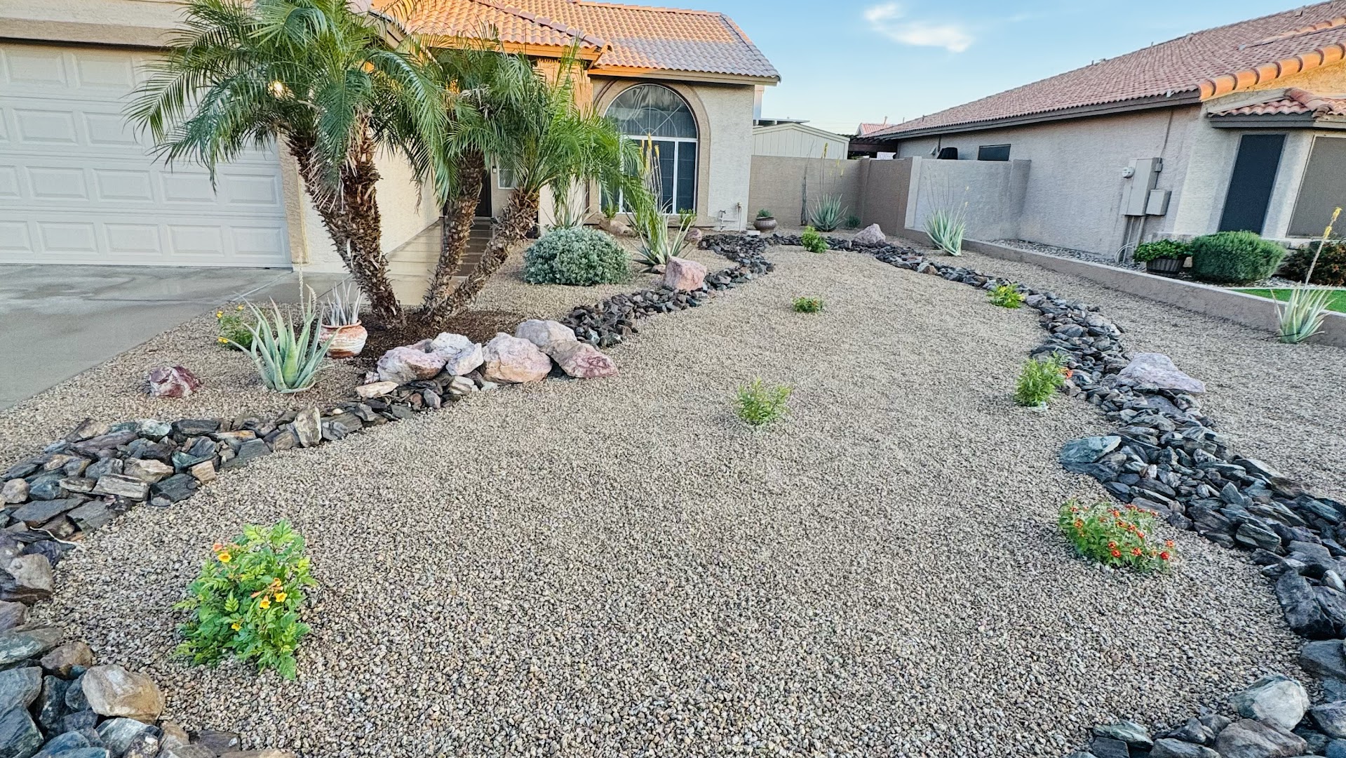 Desert rock landscaping with palms, Glendale AZ